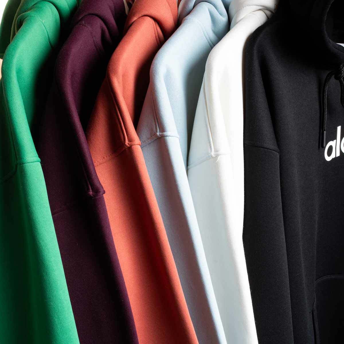 ALO Hoodie